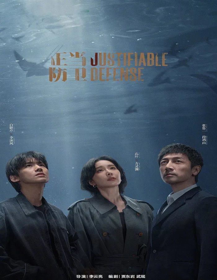 Justifiable Defense (2025) ผู้ต้องไม่หา