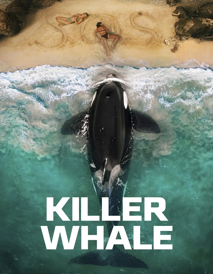 Killer Whale (2026)
